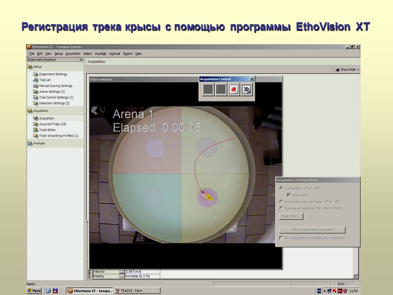 Регистрация трека крысы с помощью программы EthoVision XT